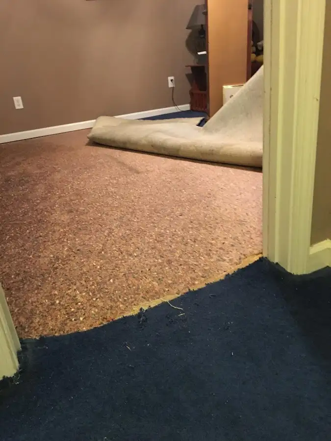 Carpet pad removal revealing water damage during Drying & Dehumidification in San Marcos