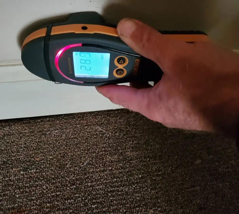 Moisture detection at baseboard during Sewage Cleanup & Sanitation in San Marcos